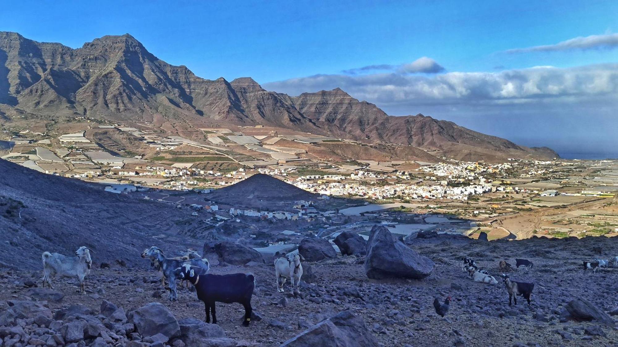 De Pepeylola * Las Palmas de Gran Canaria